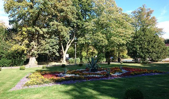 Plażowanie na Plaży Centralnej